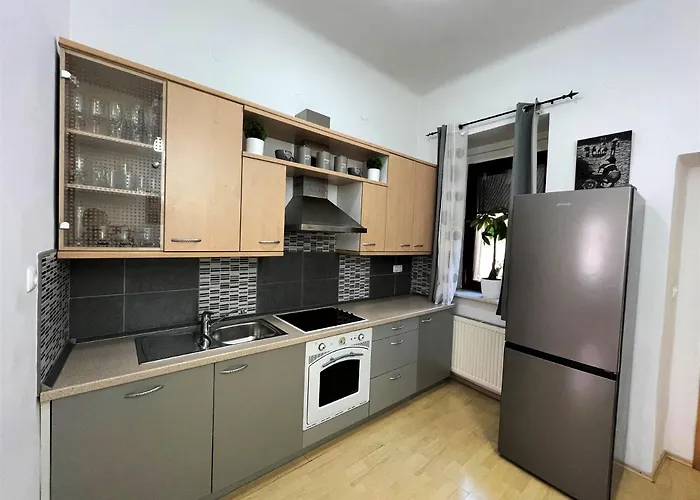 Viktorija City Center Apartment